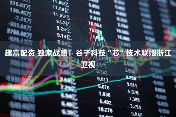 趣富配资 独家战略！谷子科技“芯”技术联姻浙江卫视