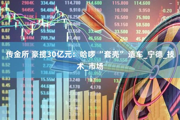 传金所 豪揽30亿元：哈啰 “套壳” 造车_宁德_技术_市场