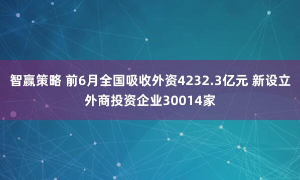 智赢策略 前6月全国吸收外资4232.3亿元 新设立外商投资企业30014家