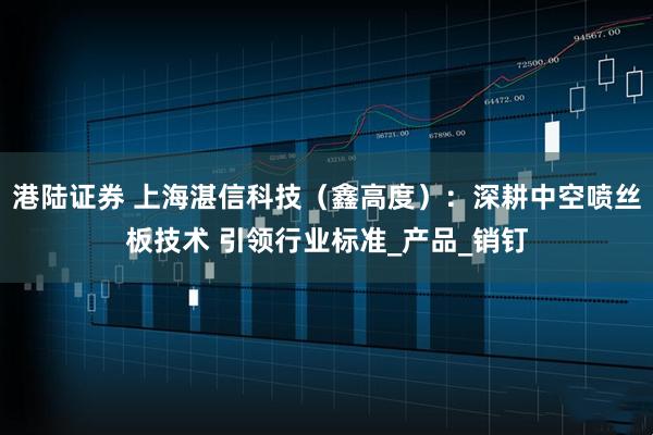 港陆证券 上海湛信科技（鑫高度）：深耕中空喷丝板技术 引领行业标准_产品_销钉