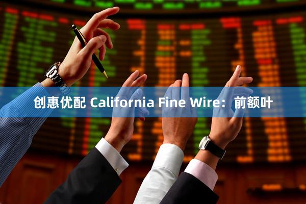 创惠优配 California Fine Wire：前额叶
